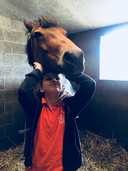 Bij het paard Angela Schijf