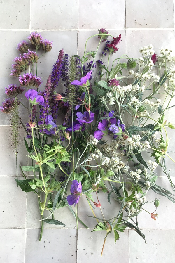 DIY: verzameling van bloemen en takjes om te drogen
