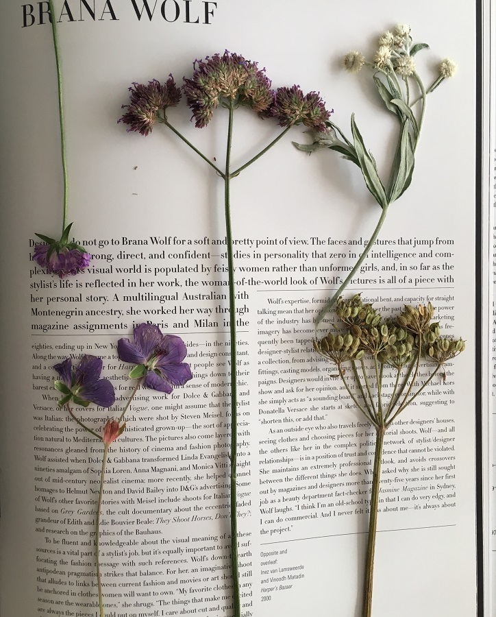 DIY: droogbloemen in een dik boek
