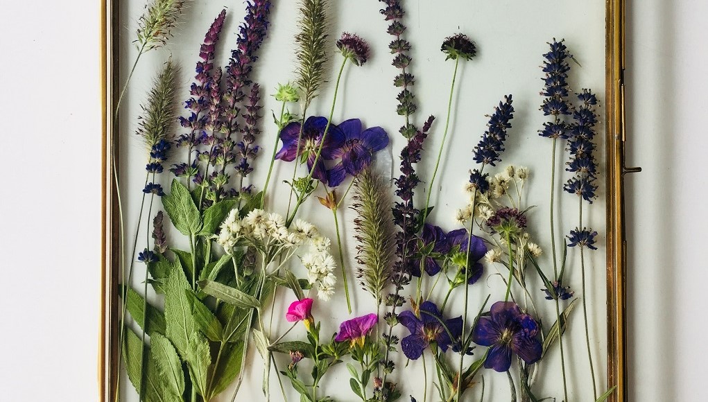 DIY eindresultaat droogbloemen in lijst