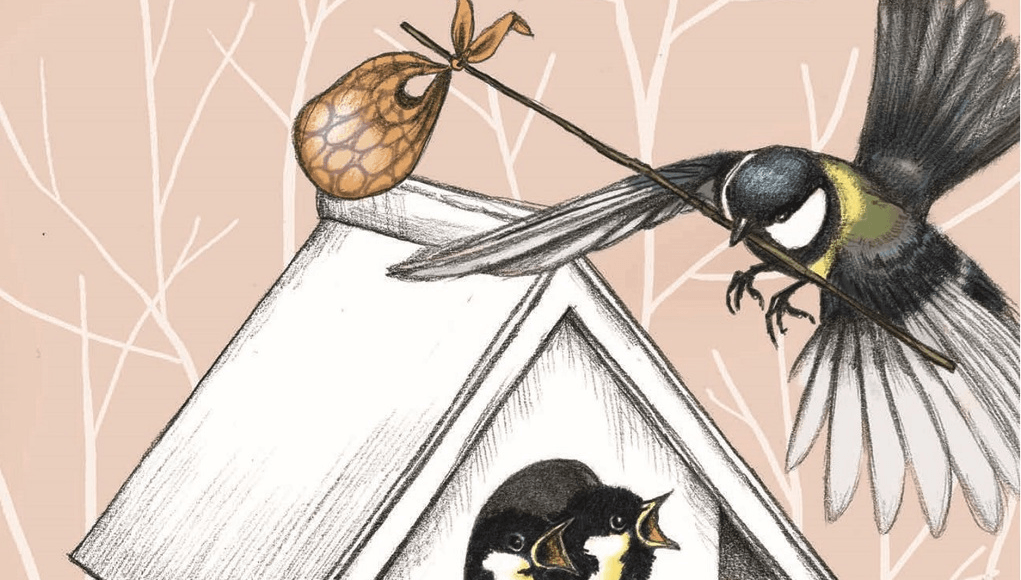 Illustratie birdnesting: kleine koolmeesjes krijgen voedsel van hun ouders