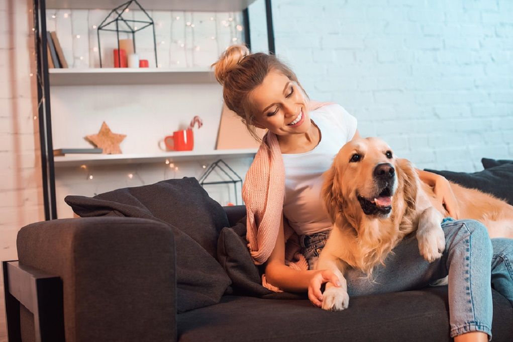 Vrouw zit samen met golden retriever op bank en kijkt de revival van haar favoriete serie