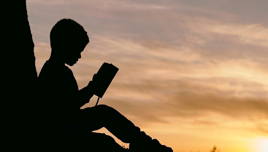 Hoogbegaafd kind leest een boek bij de zonsondergang