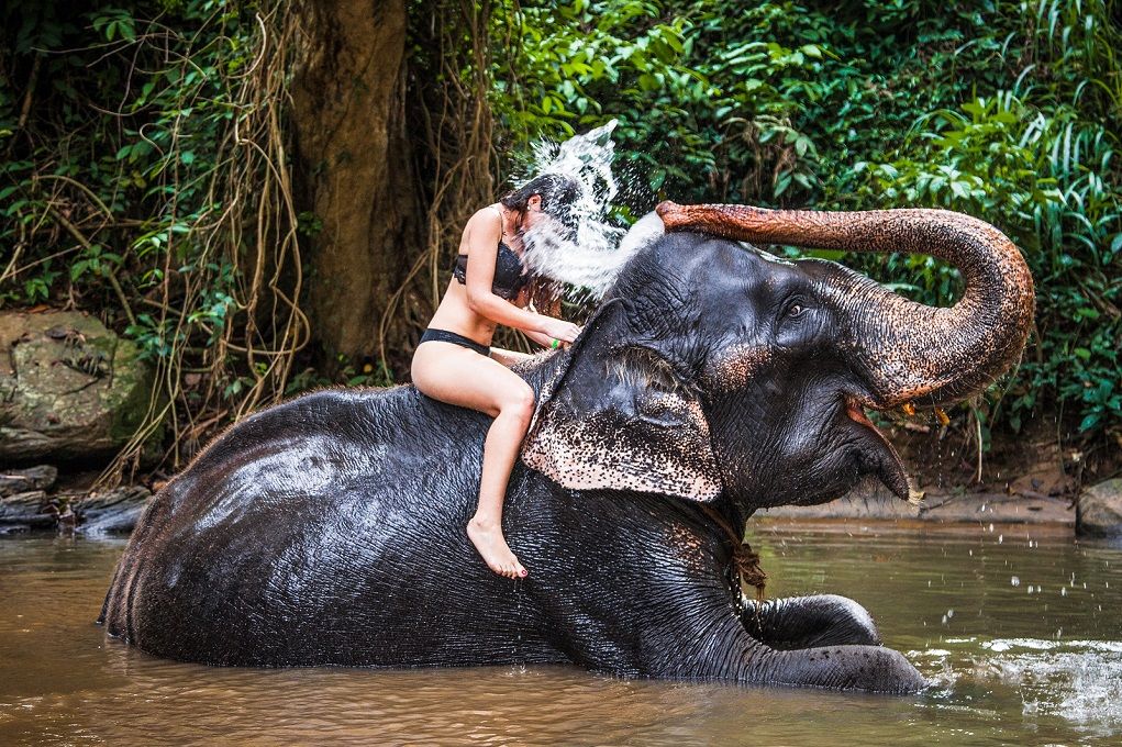 Olifant spuit toerist nat in Sri Lanka