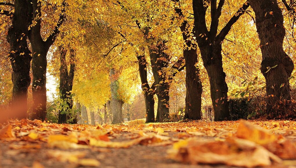 Beleef de beste herfst van je bestaan met deze zes tips