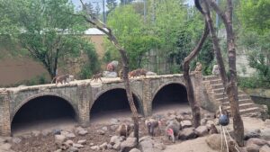 Dierenpark Amersfoort