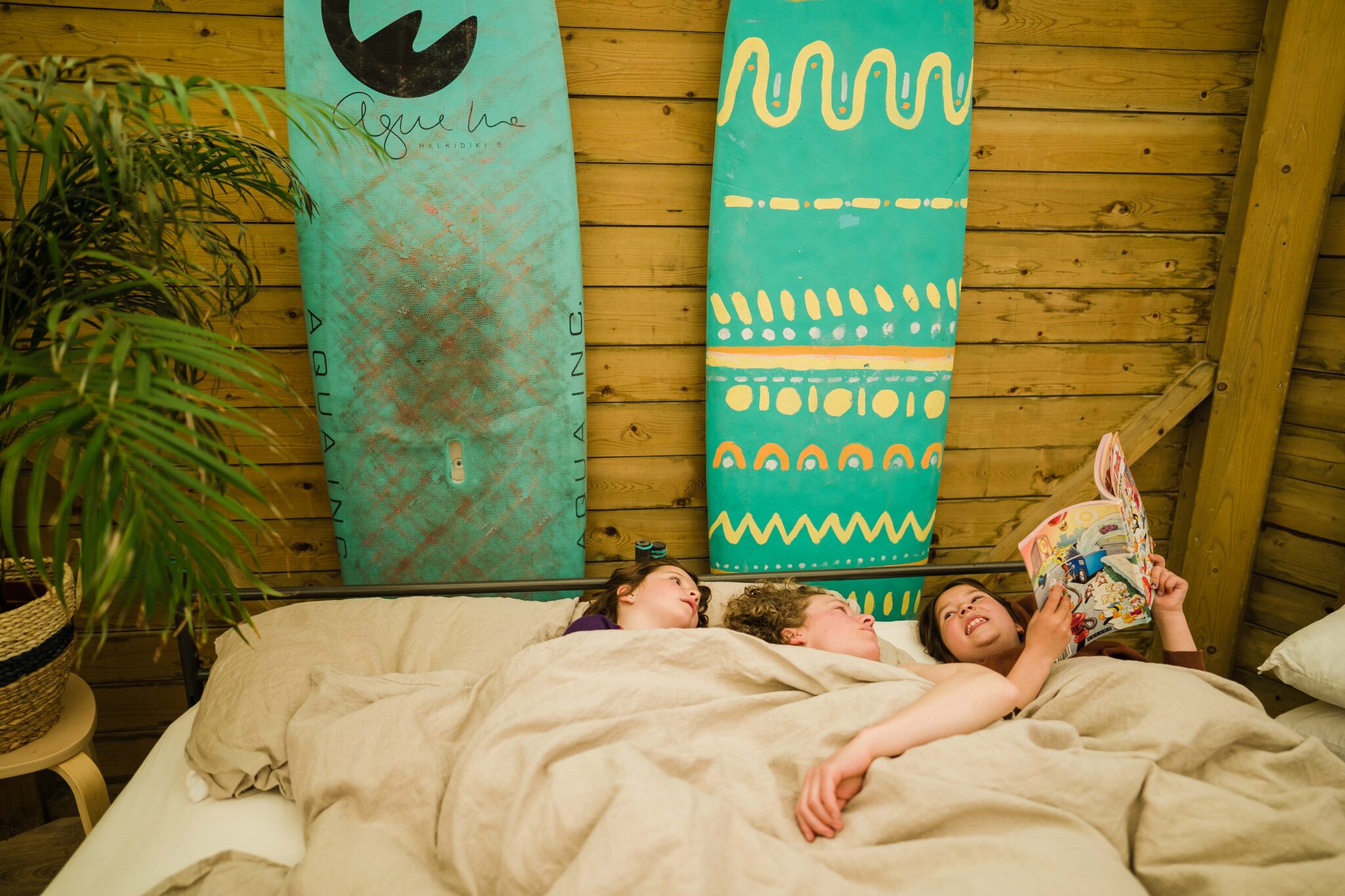 Surfana