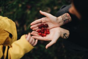 Vitamines